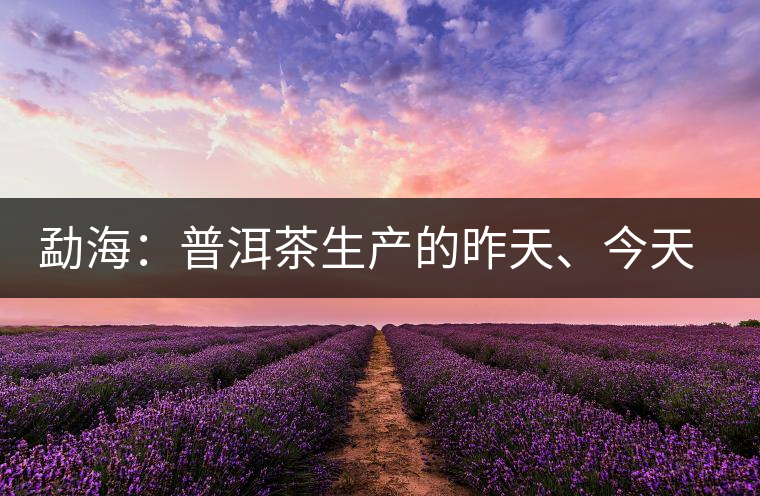 勐海：普洱茶生產(chǎn)的昨天、今天、明天
