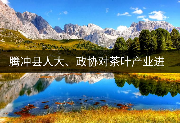 騰沖縣人大、政協(xié)對茶葉產(chǎn)業(yè)進行視察