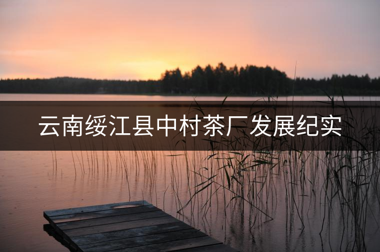云南綏江縣中村茶廠發(fā)展紀(jì)實(shí) 云南綏江縣中村茶廠發(fā)展紀(jì)實(shí)