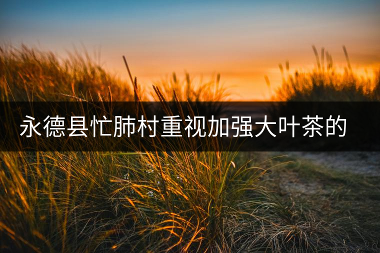 永德縣忙肺村重視加強(qiáng)大葉茶的采摘和無(wú)公害管理 永德縣忙肺村重視加強(qiáng)大葉茶的采摘和無(wú)公害管理