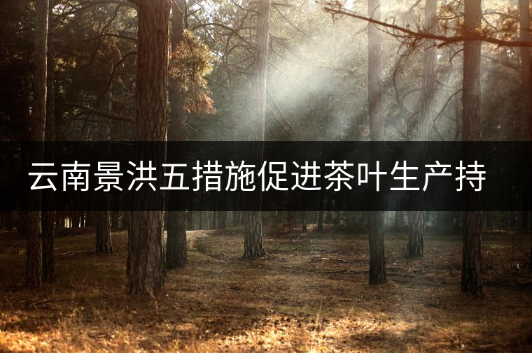 云南景洪五措施促進(jìn)茶葉生產(chǎn)持續(xù)發(fā)展 云南景洪五措施促進(jìn)茶葉生產(chǎn)持續(xù)發(fā)展