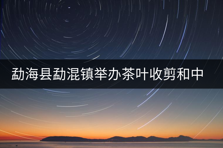 勐?？h勐混鎮(zhèn)舉辦茶葉收剪和中耕培土現(xiàn)場(chǎng)培訓(xùn)會(huì)