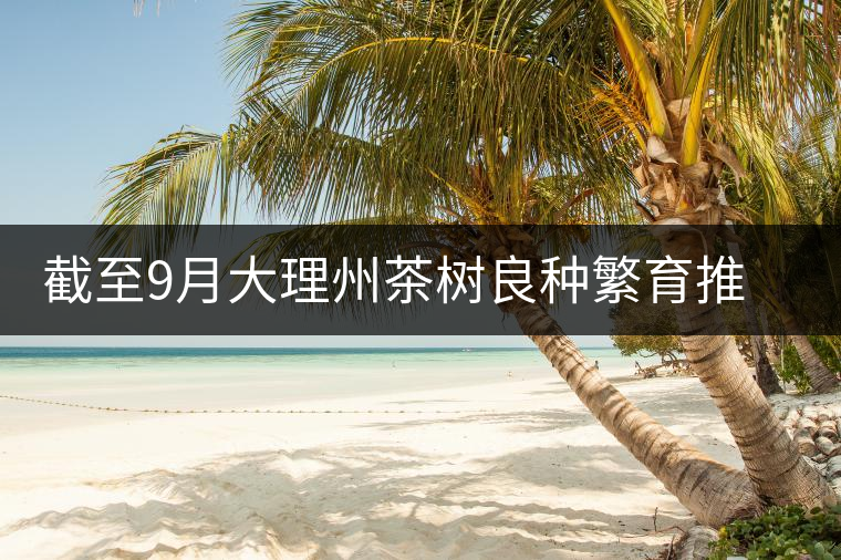 截至9月大理州茶樹(shù)良種繁育推廣基本情況 截至9月大理州茶樹(shù)良種繁育推廣基本情況