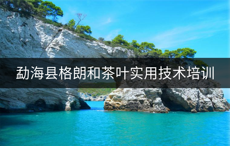 勐海縣格朗和茶葉實(shí)用技術(shù)培訓(xùn) 勐??h格朗和茶葉實(shí)用技術(shù)培訓(xùn)