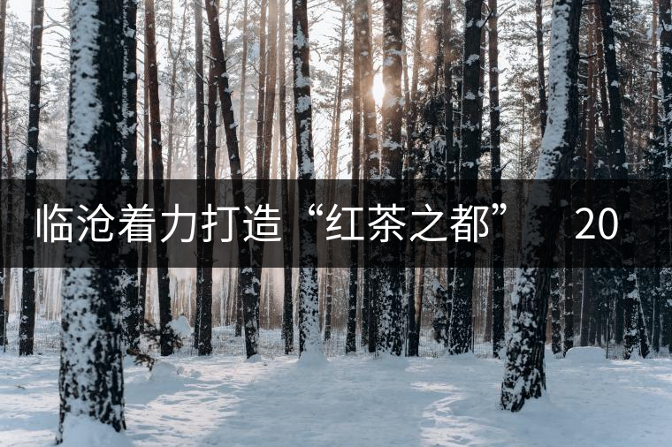 臨滄著力打造“紅茶之都” 2015年茶產(chǎn)業(yè)產(chǎn)值力爭達(dá)到50億元 臨滄著力打造“紅茶之都” 2015年茶產(chǎn)業(yè)產(chǎn)值力爭達(dá)到50億元