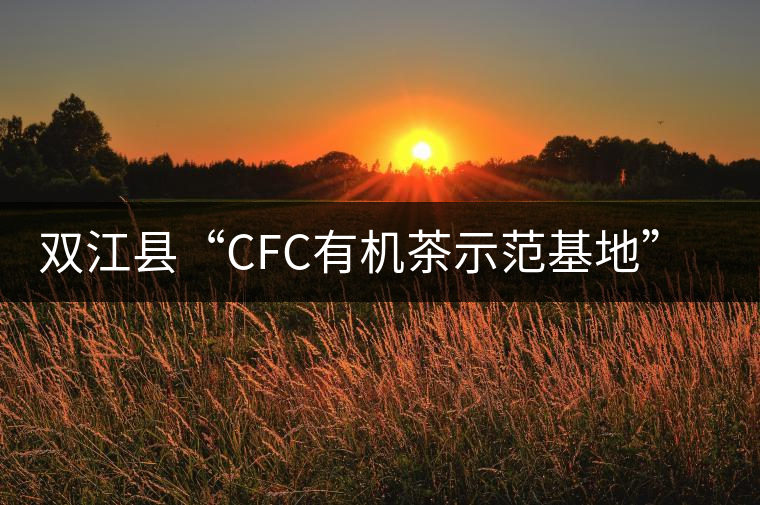 雙江縣“CFC有機(jī)茶示范基地”通過(guò)國(guó)際認(rèn)證機(jī)構(gòu)驗(yàn)收 雙江縣“CFC有機(jī)茶示范基地”通過(guò)國(guó)際認(rèn)證機(jī)構(gòu)驗(yàn)收