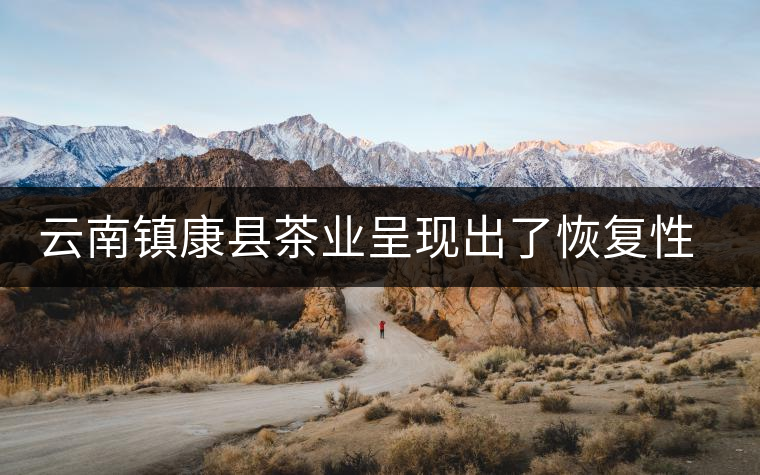 云南鎮(zhèn)康縣茶業(yè)呈現(xiàn)出了恢復(fù)性增長的態(tài)勢 云南鎮(zhèn)康縣茶業(yè)呈現(xiàn)出了恢復(fù)性增長的態(tài)勢