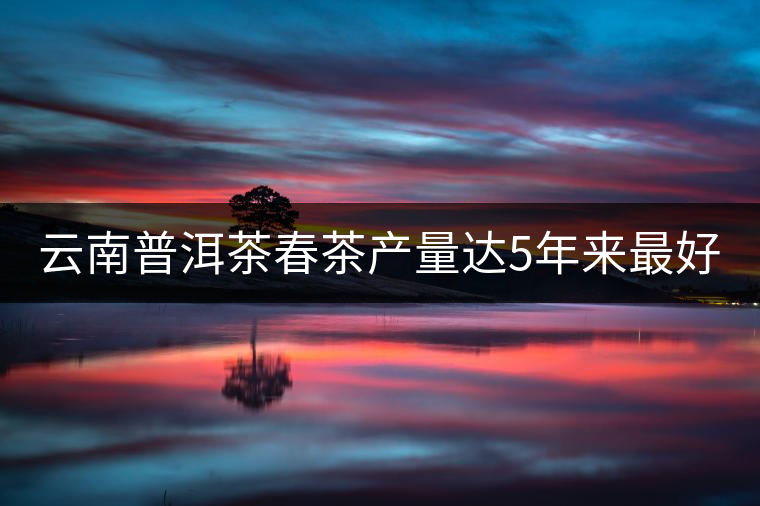 云南普洱茶春茶產(chǎn)量達5年來最好 云南普洱茶春茶產(chǎn)量達5年來最好