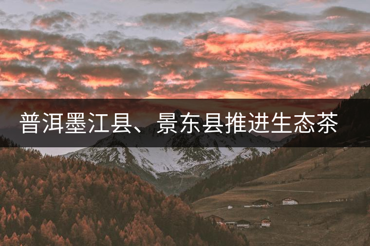 普洱墨江縣、景東縣推進生態(tài)茶園建設(shè)