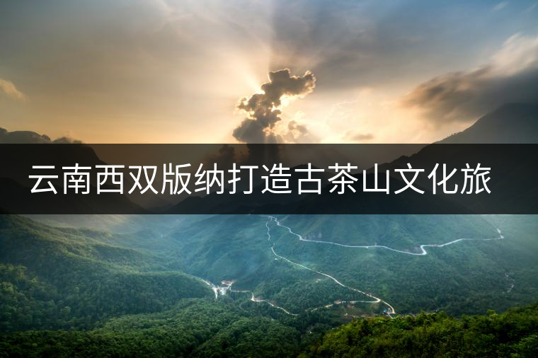 云南西雙版納打造古茶山文化旅游環(huán)線