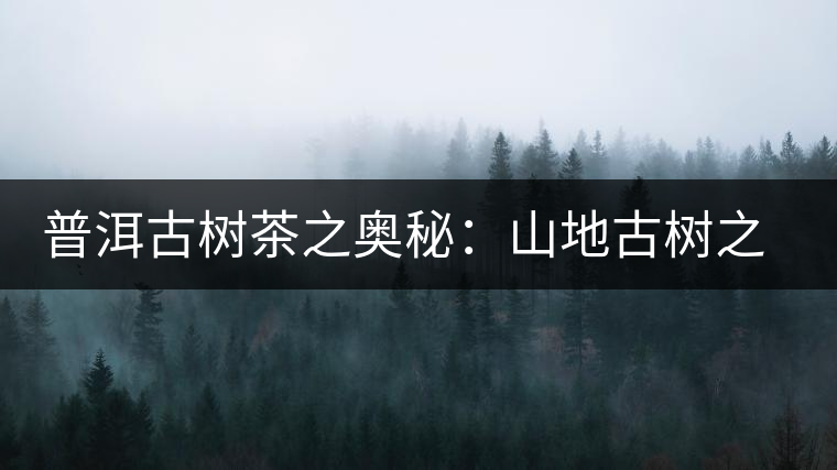 普洱古樹茶之奧秘：山地古樹之美