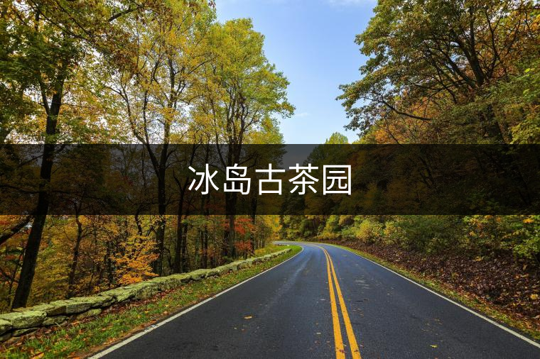 冰島古茶園