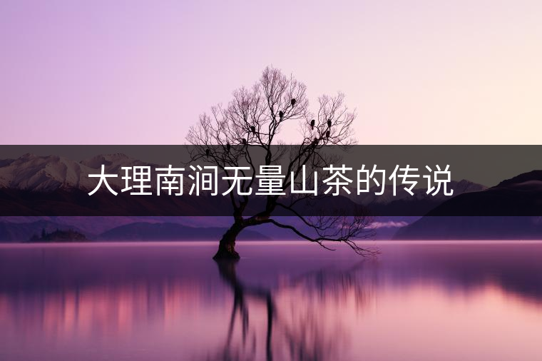 大理南澗無(wú)量山茶的傳說(shuō)