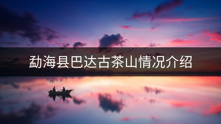 勐?？h巴達(dá)古茶山情況介紹