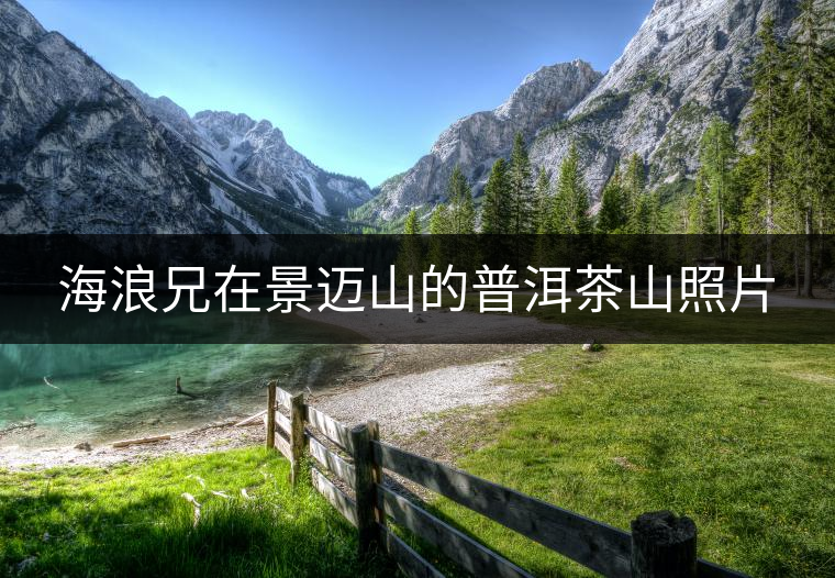 海浪兄在景邁山的普洱茶山照片 海浪兄在景邁山的普洱茶山照片