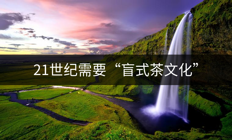 21世紀(jì)需要“盲式茶文化”