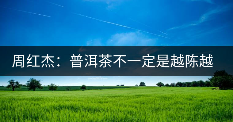 周紅杰：普洱茶不一定是越陳越香、越陳越好