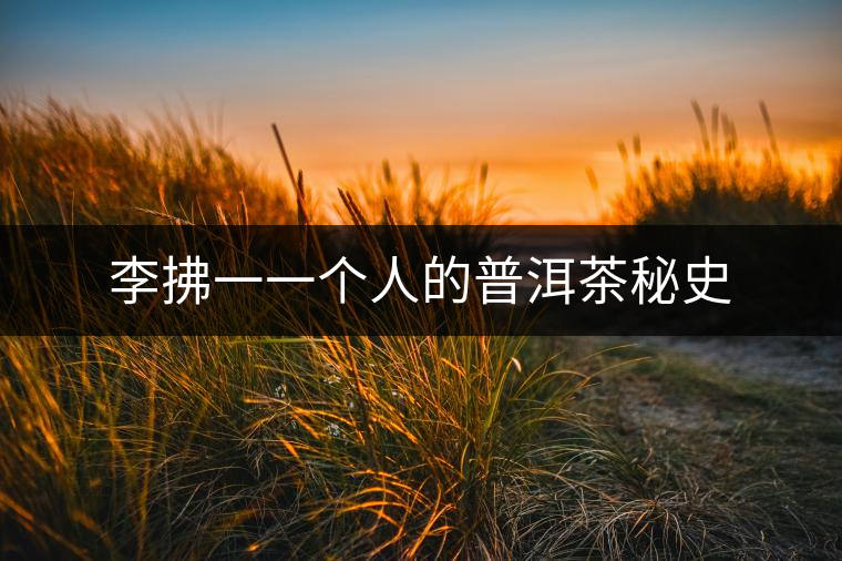 李拂一一個(gè)人的普洱茶秘史