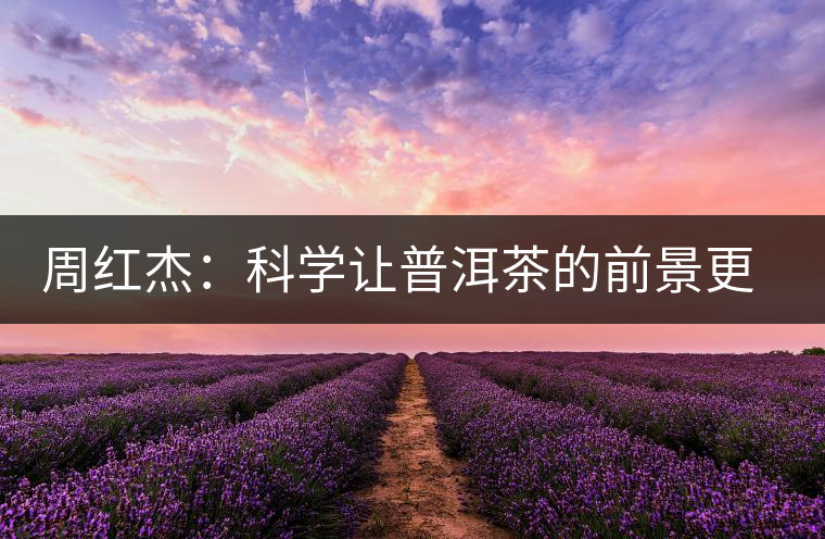 周紅杰：科學讓普洱茶的前景更明朗