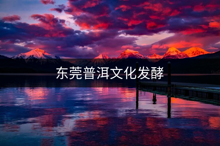 東莞普洱文化發(fā)酵