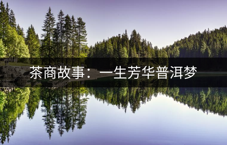 茶商故事：一生芳華普洱夢