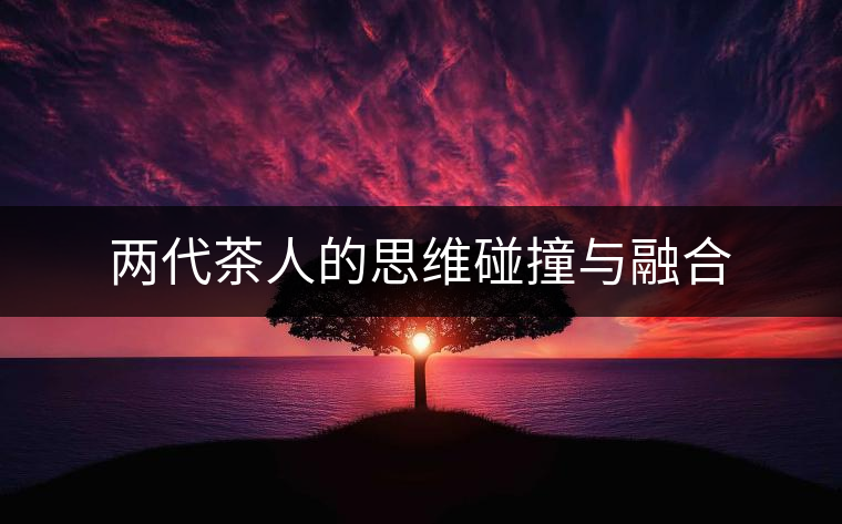 兩代茶人的思維碰撞與融合