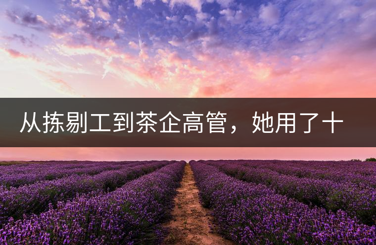 從揀剔工到茶企高管，她用了十年時間