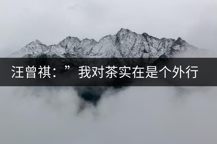 汪曾祺:”我對茶實(shí)在是個(gè)外行“ 汪曾祺:”我對茶實(shí)在是個(gè)外行“
