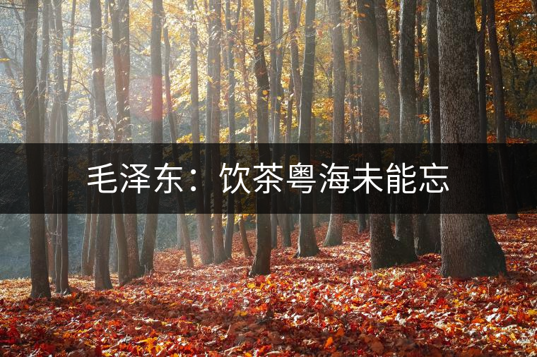 毛澤東:飲茶粵海未能忘 毛澤東:飲茶粵海未能忘