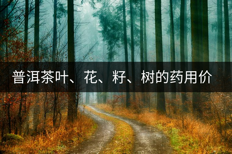 普洱茶葉、花、籽、樹的藥用價值