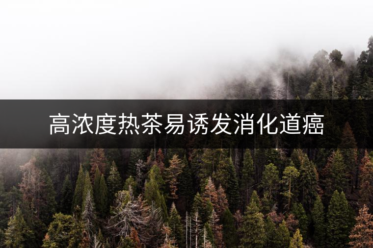 高濃度熱茶易誘發(fā)消化道癌 高濃度熱茶易誘發(fā)消化道癌