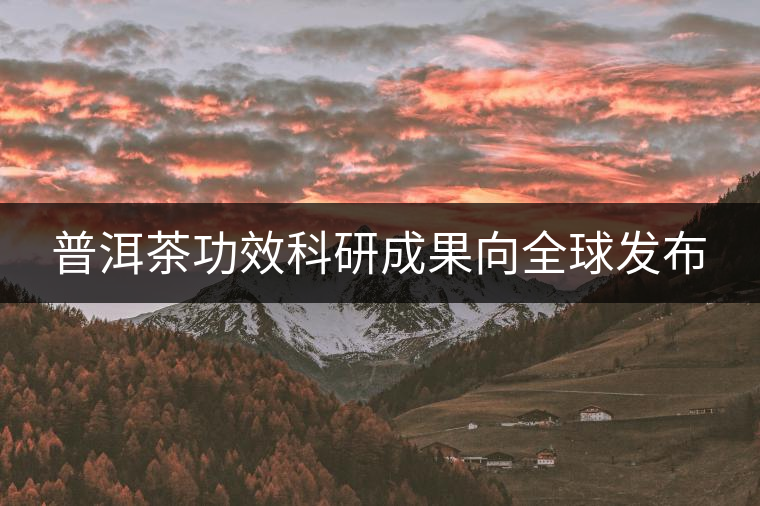 普洱茶功效科研成果向全球發(fā)布 普洱茶功效科研成果向全球發(fā)布