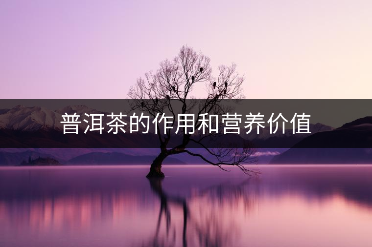 普洱茶的作用和營(yíng)養(yǎng)價(jià)值 普洱茶的作用和營(yíng)養(yǎng)價(jià)值