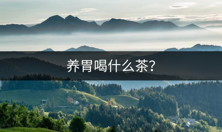 養(yǎng)胃喝什么茶? 養(yǎng)胃喝什么茶?