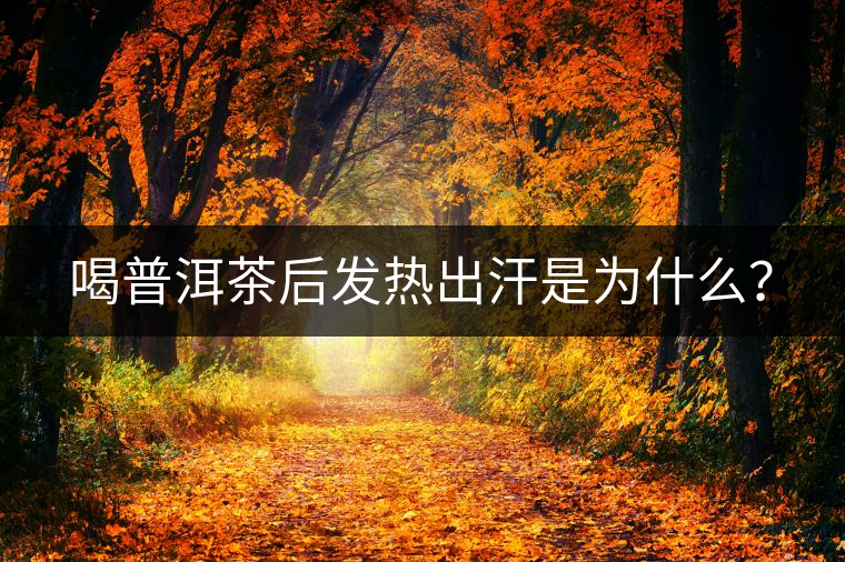 喝普洱茶后發(fā)熱出汗是為什么？