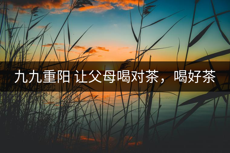 九九重陽 讓父母喝對茶，喝好茶