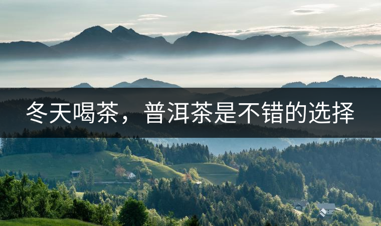 冬天喝茶，普洱茶是不錯的選擇