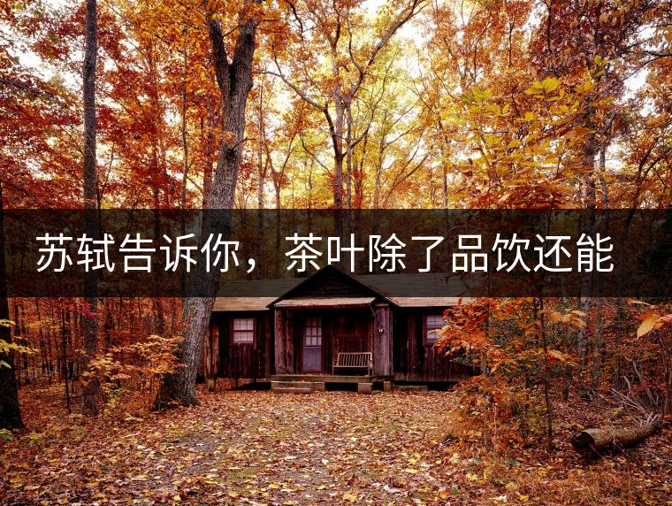 蘇軾告訴你，茶葉除了品飲還能做什么？