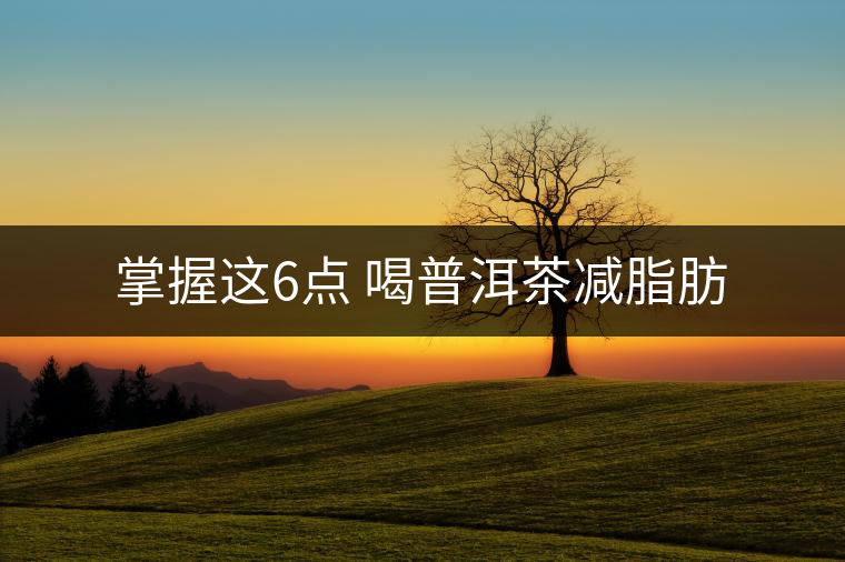 掌握這6點(diǎn) 喝普洱茶減脂肪