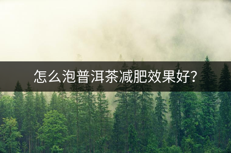 怎么泡普洱茶減肥效果好? 怎么泡普洱茶減肥效果好?