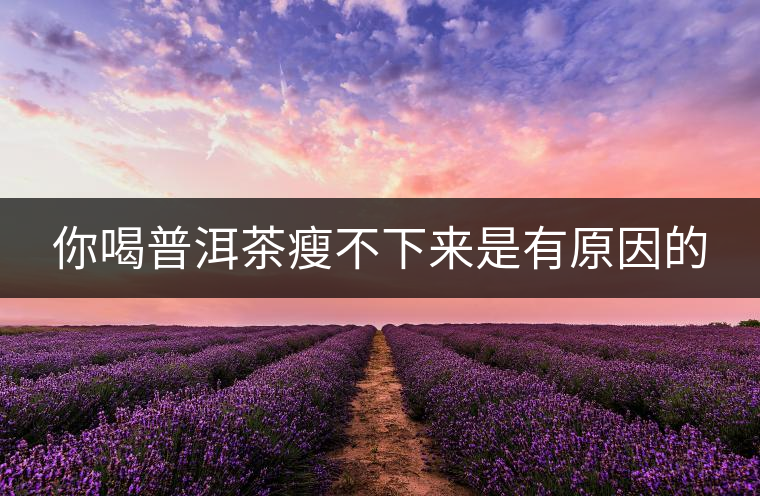 你喝普洱茶瘦不下來(lái)是有原因的 你喝普洱茶瘦不下來(lái)是有原因的