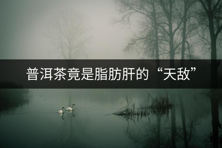 普洱茶竟是脂肪肝的“天敵”