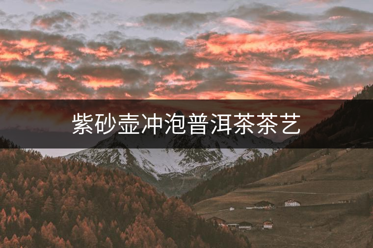 紫砂壺沖泡普洱茶茶藝 紫砂壺沖泡普洱茶茶藝