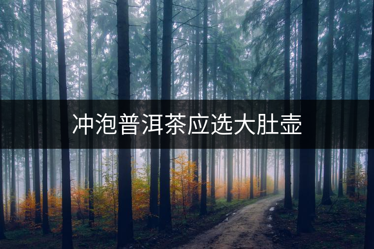 沖泡普洱茶應(yīng)選大肚壺 沖泡普洱茶應(yīng)選大肚壺