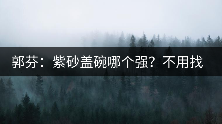 郭芬：紫砂蓋碗哪個強(qiáng)？不用找藍(lán)翔