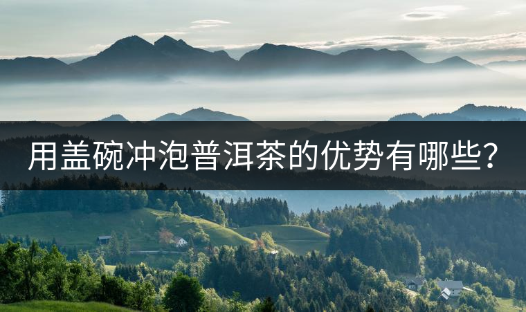 用蓋碗沖泡普洱茶的優(yōu)勢有哪些？