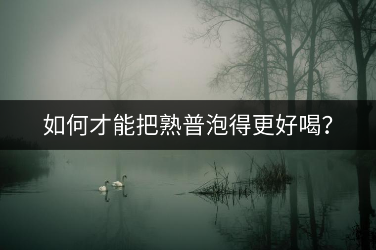 如何才能把熟普泡得更好喝？