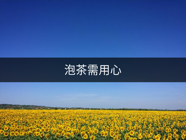泡茶需用心 泡茶需用心