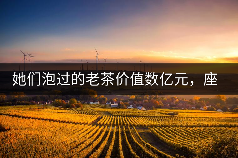 她們泡過的老茶價(jià)值數(shù)億元，座上賓是余秋雨、李云迪……