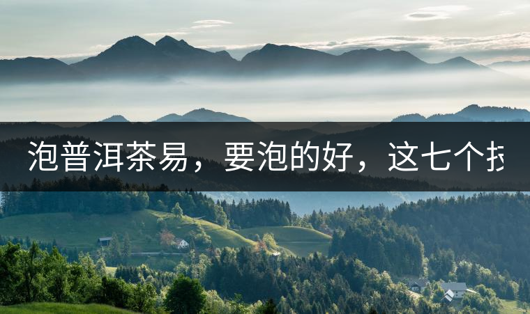 泡普洱茶易，要泡的好，這七個(gè)技巧很重要！